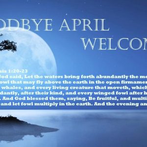 Goodbye April, Welcome May